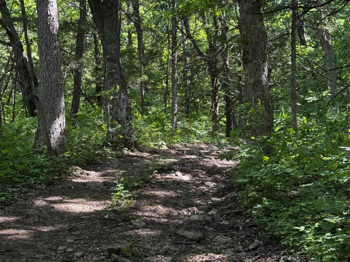 Inner Track 22 photo 3