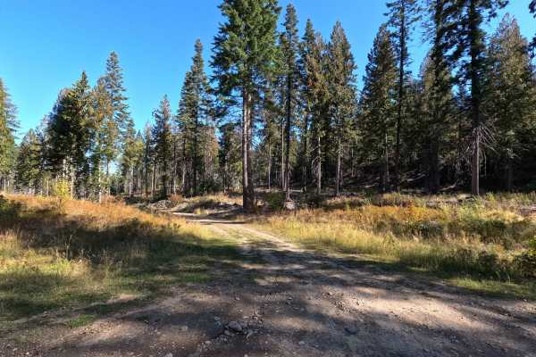 Old Hanson Creek - FS 9413020