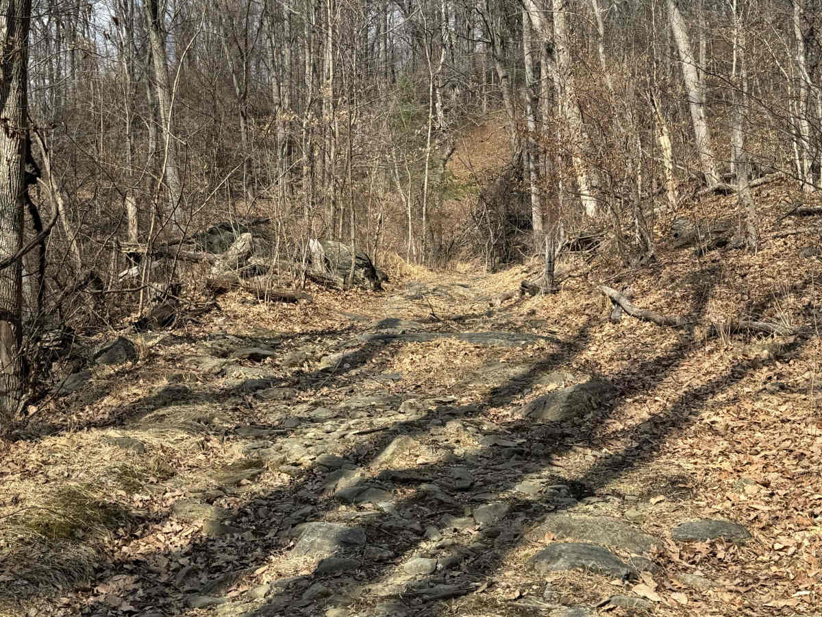 Browns Gap Turnpike photo 3