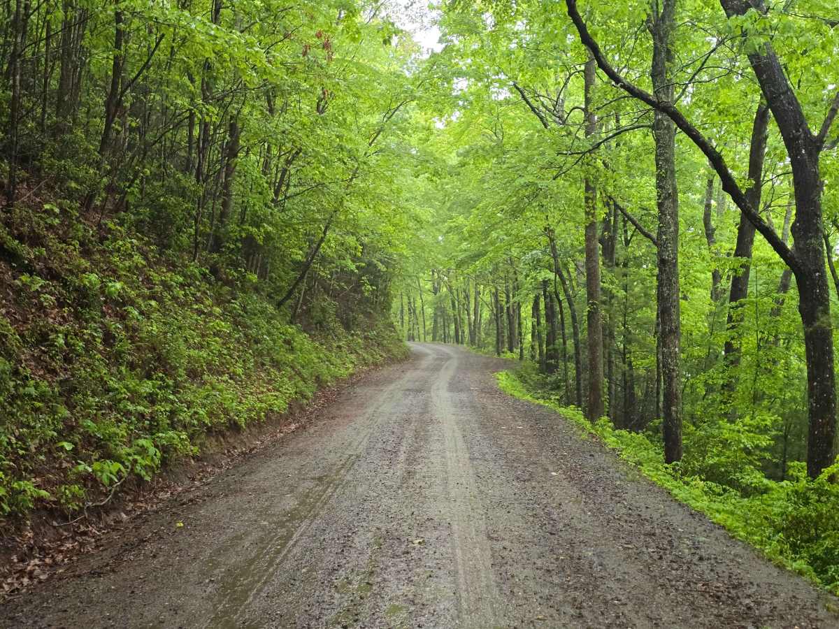 Burrell Mountain (State Road 1325) trail photo