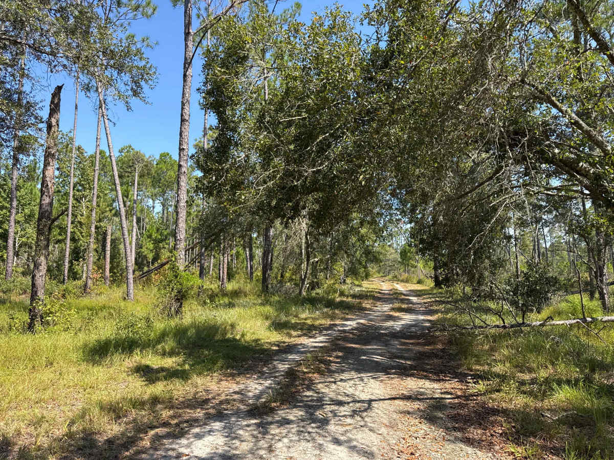 Warbler Loop North photo 2