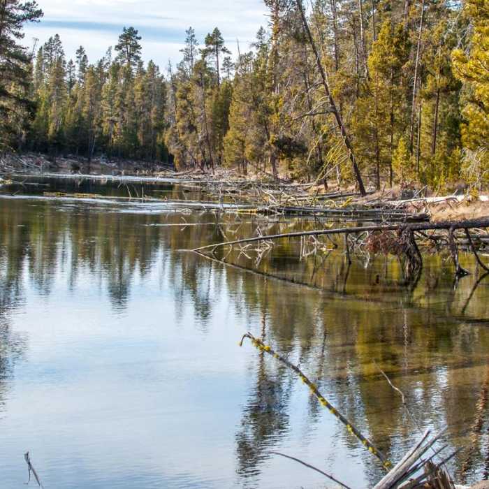 Near Fall River Trail