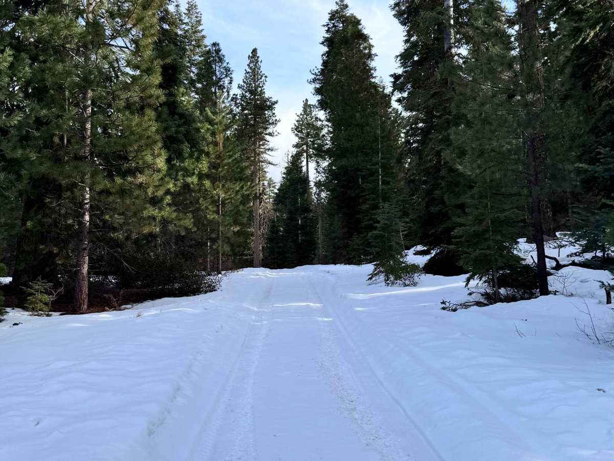 Hagelquin Loop photo 3