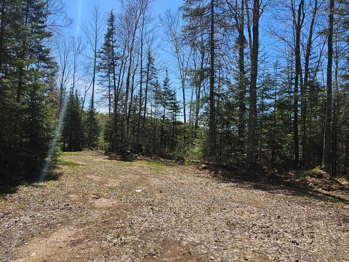 Stoney Creek Loop photo 5