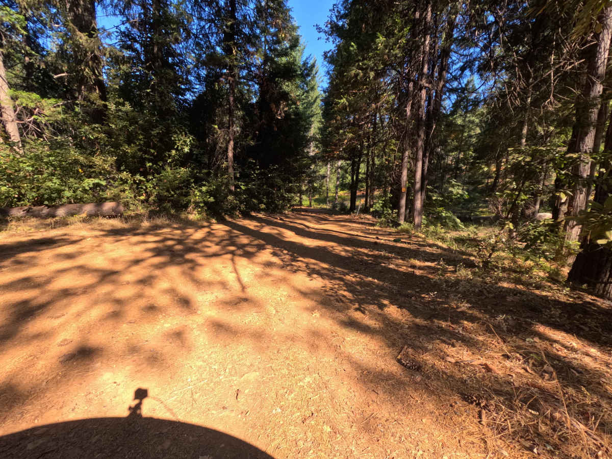North Loop - FS 19N22 photo 3