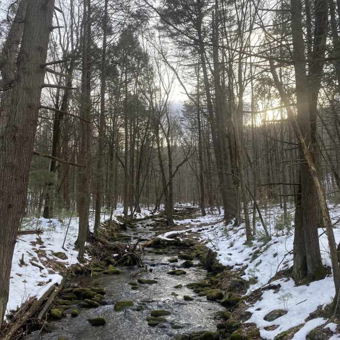 Near Skirting Rabbit Mountain Loop