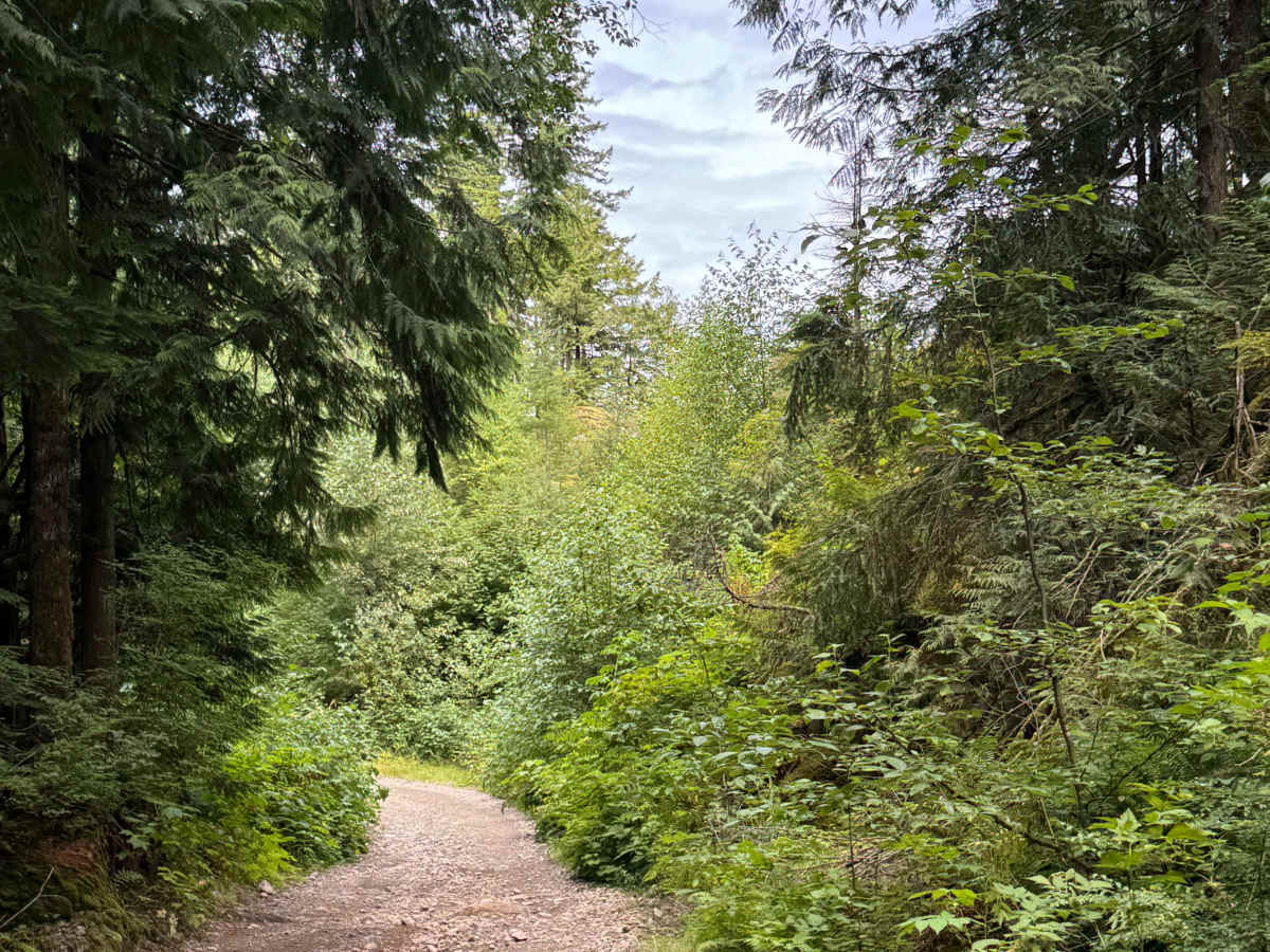 Francis Lake photo 6