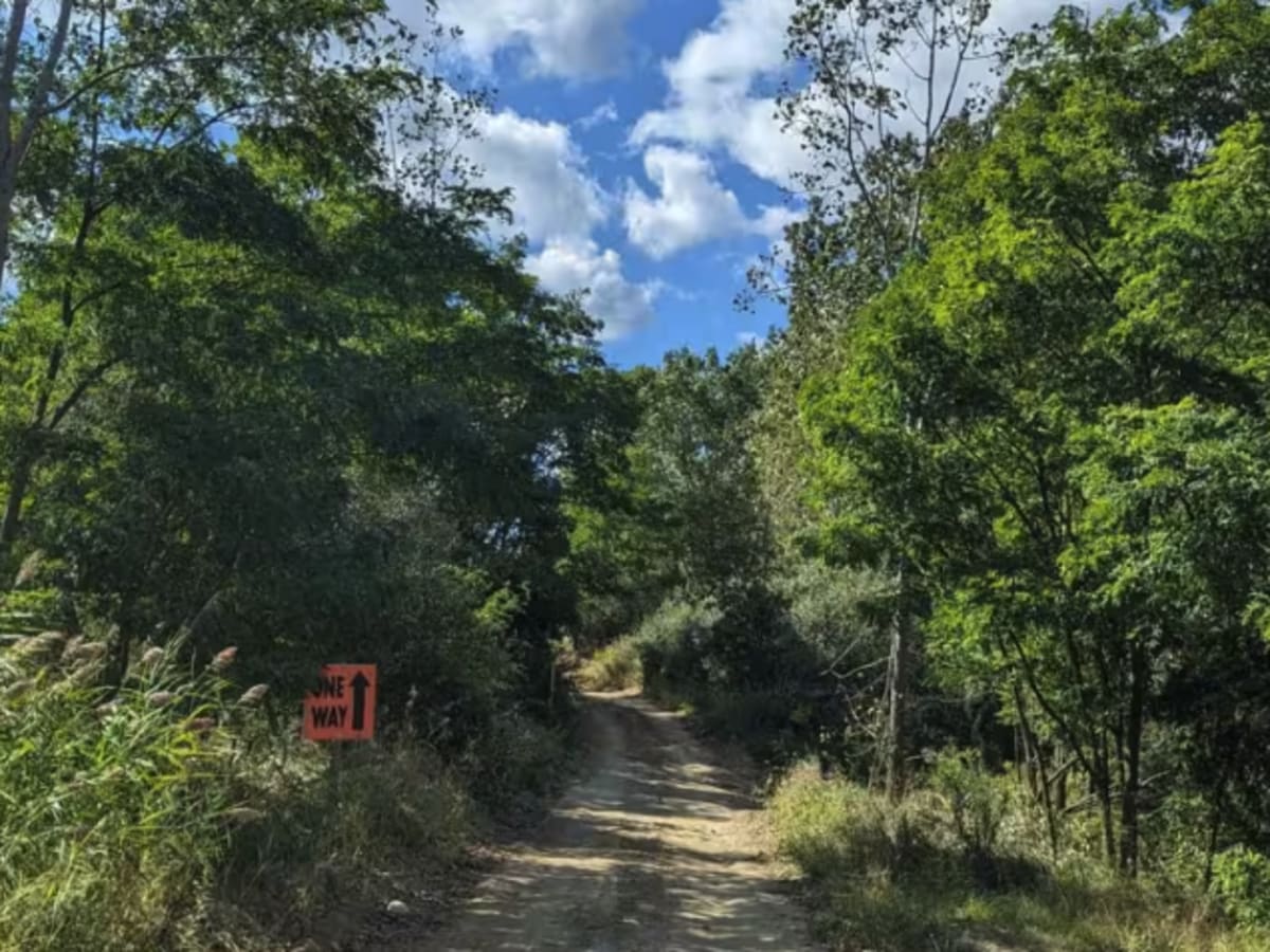 Darlene's Ridge photo 4