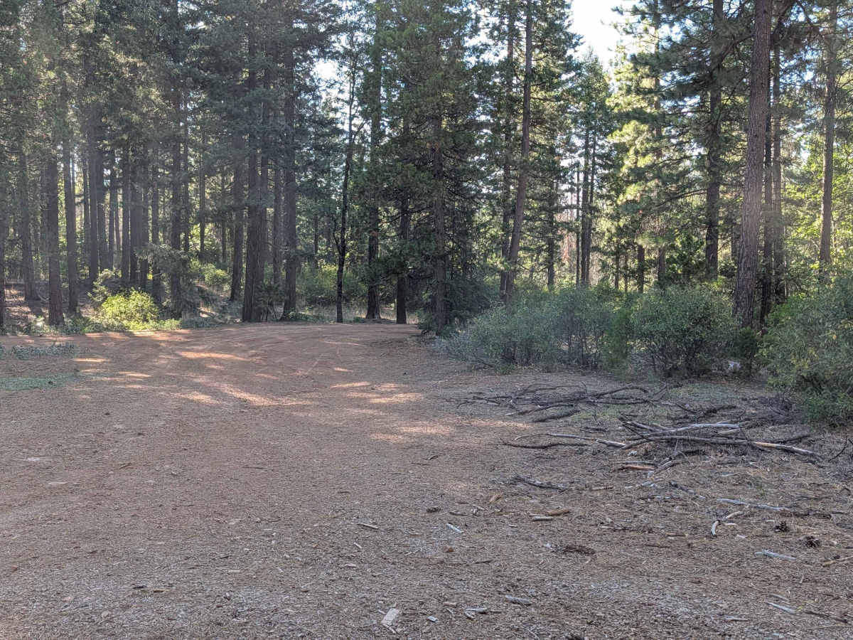 Pit Soldier Mountain - FS 37N28Y trail photo
