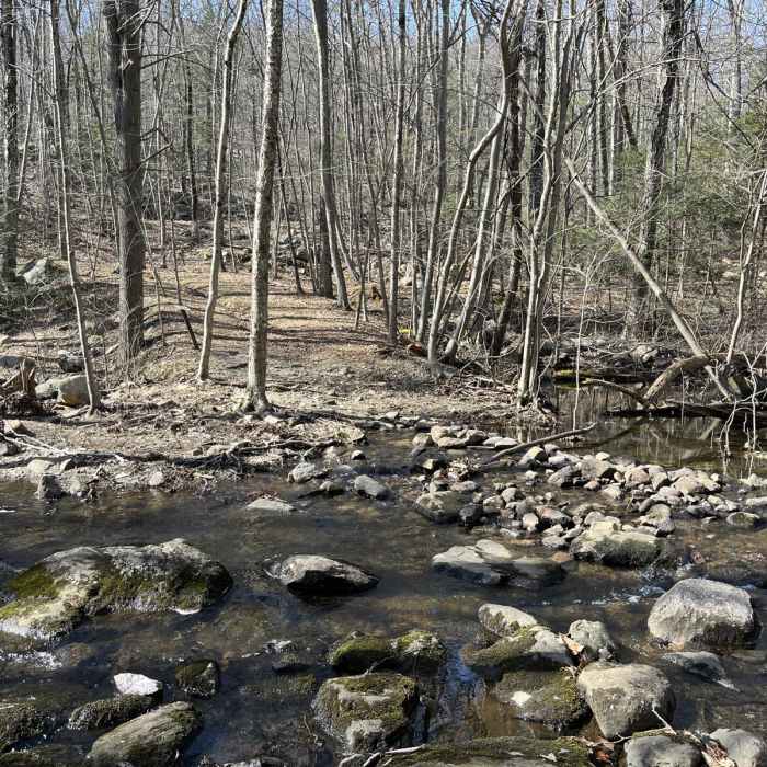 Near Apshawa Preserve Loop Near Apshawa Preserve Loop