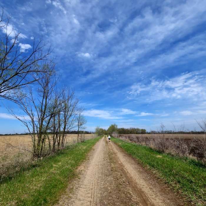 Big summer sky over Blaine Road. Near Lone Rock Loop Trail