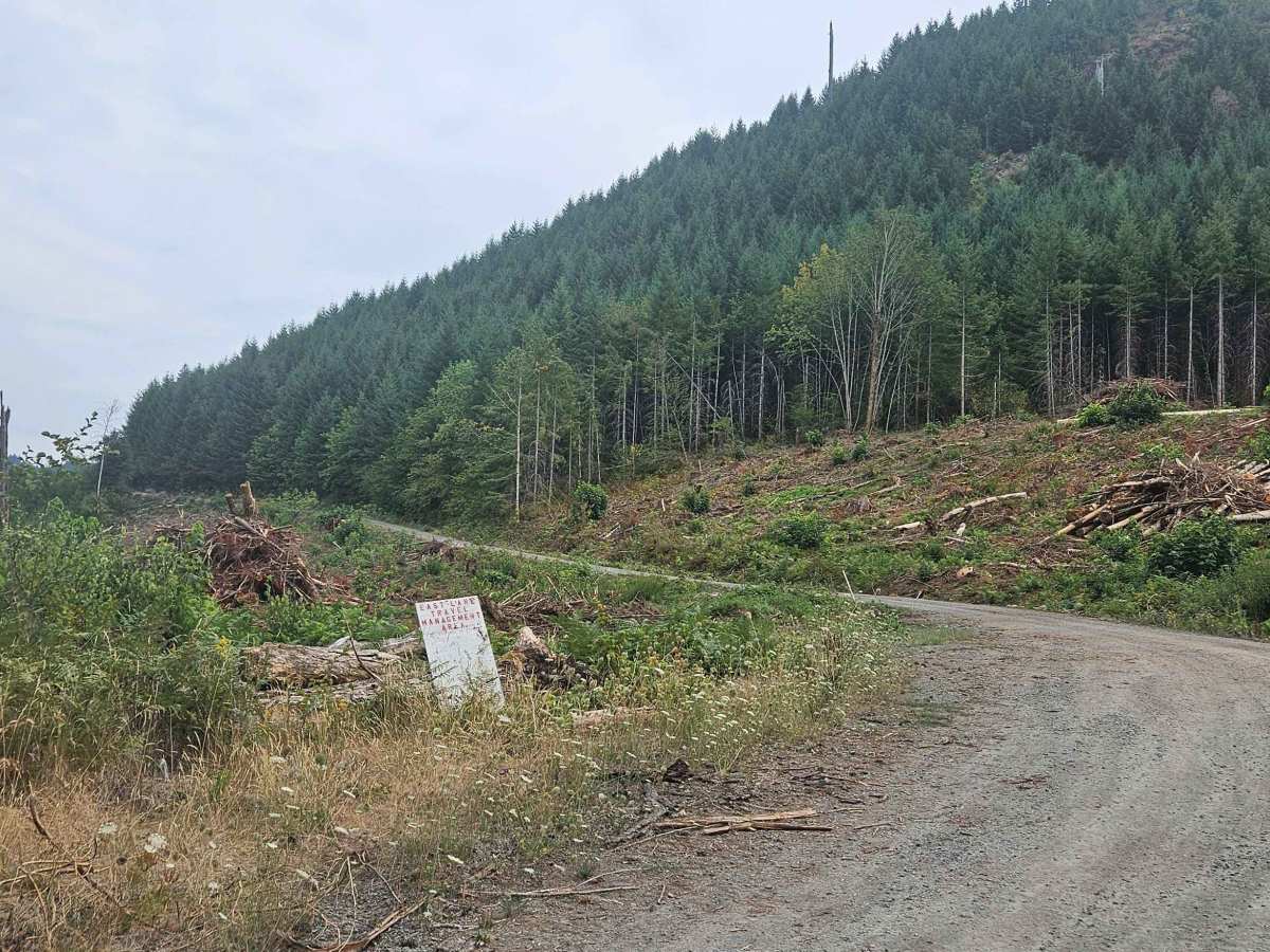 FS 2639-480 trail photo