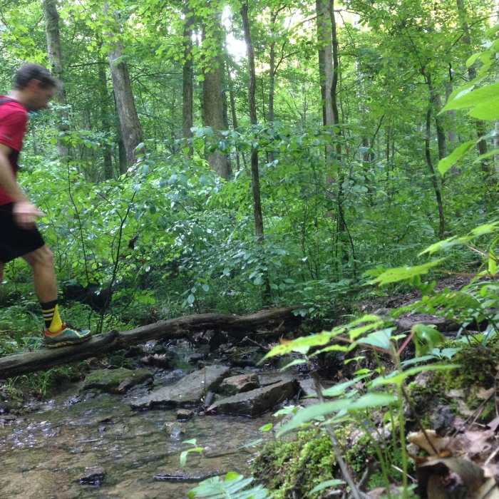 Near Sal Hollow & Buffalo Creek Loop