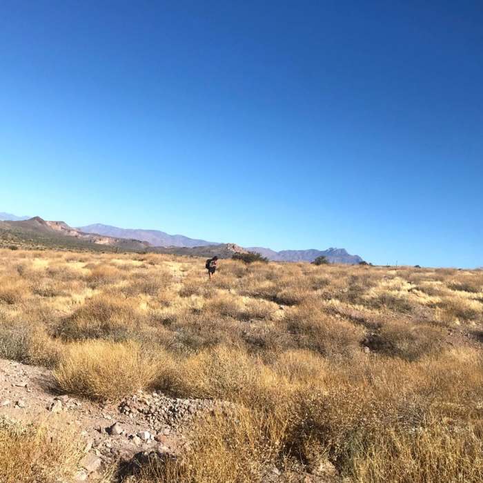 Near Jacob's Crosscut Trail #58