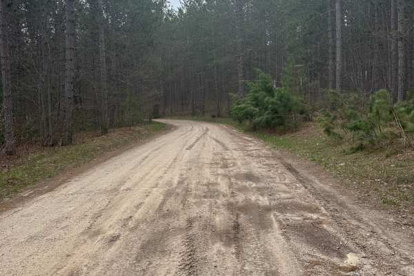 Deward Road Northeast