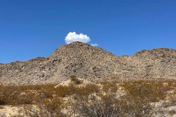 Blackbrush Trail