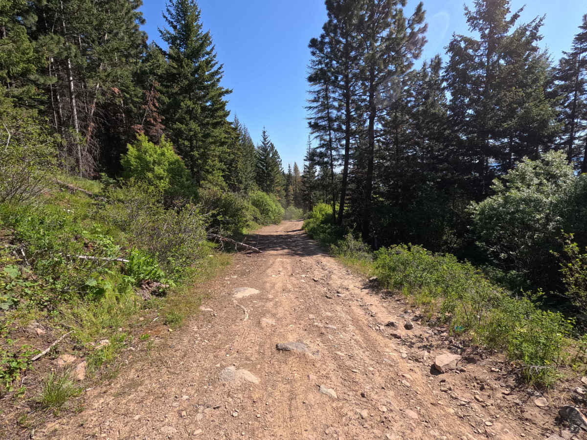 Highline - Trail 203 photo 2