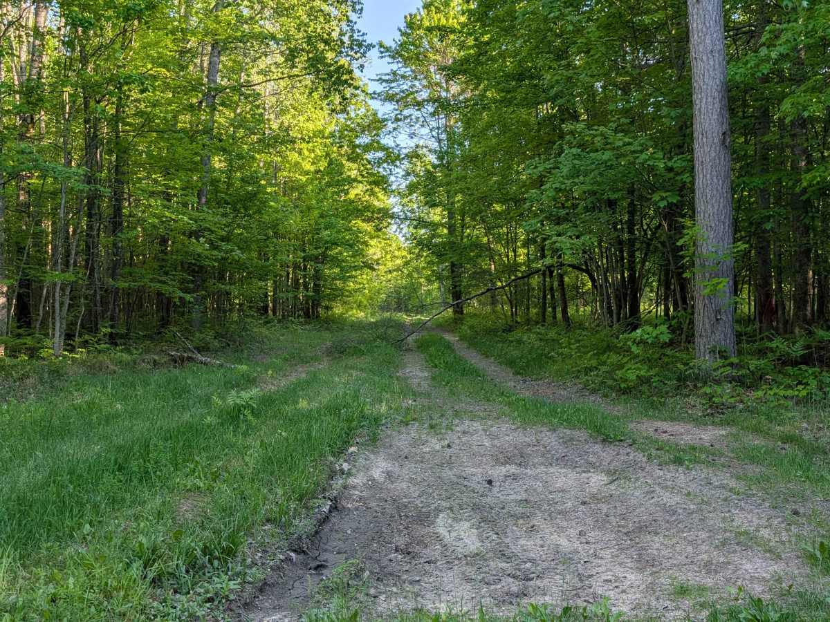 Seven Point Trail photo 2