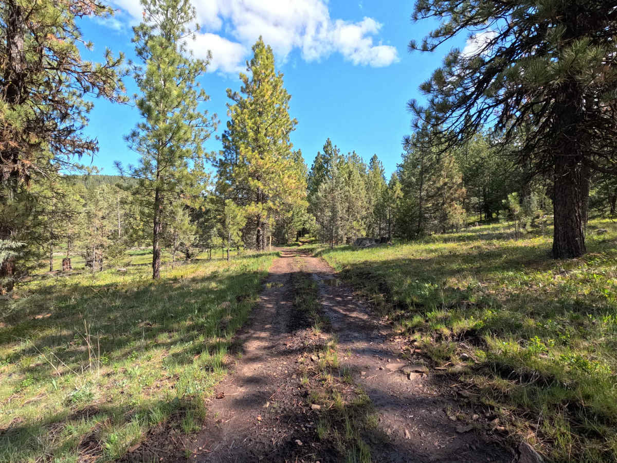 Meat Pole Trail - 54 photo 6