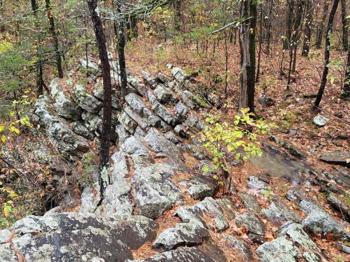 Stone Wall Falls trail photo