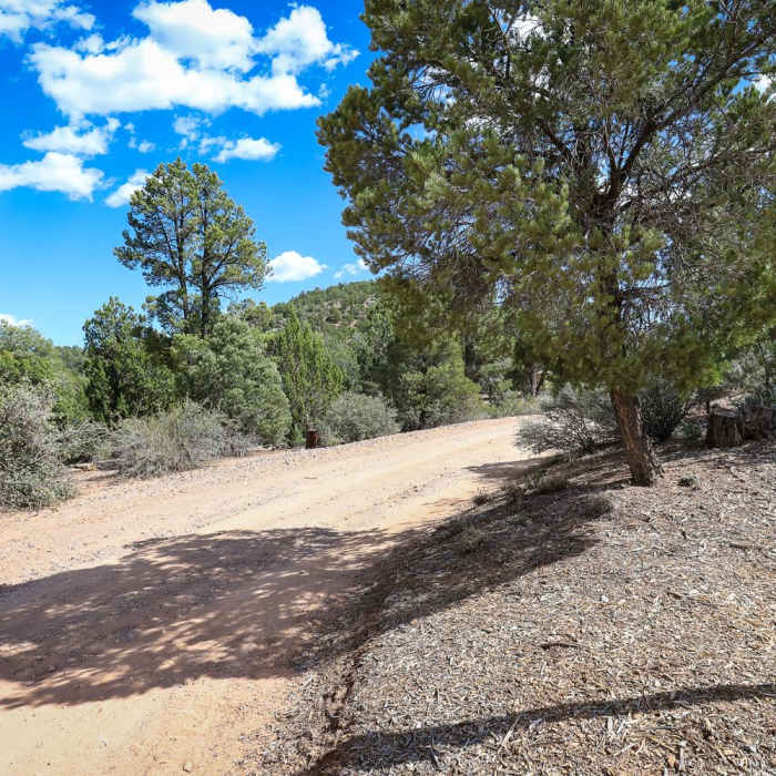Near Beaver Dam State Park Interpretive Trail