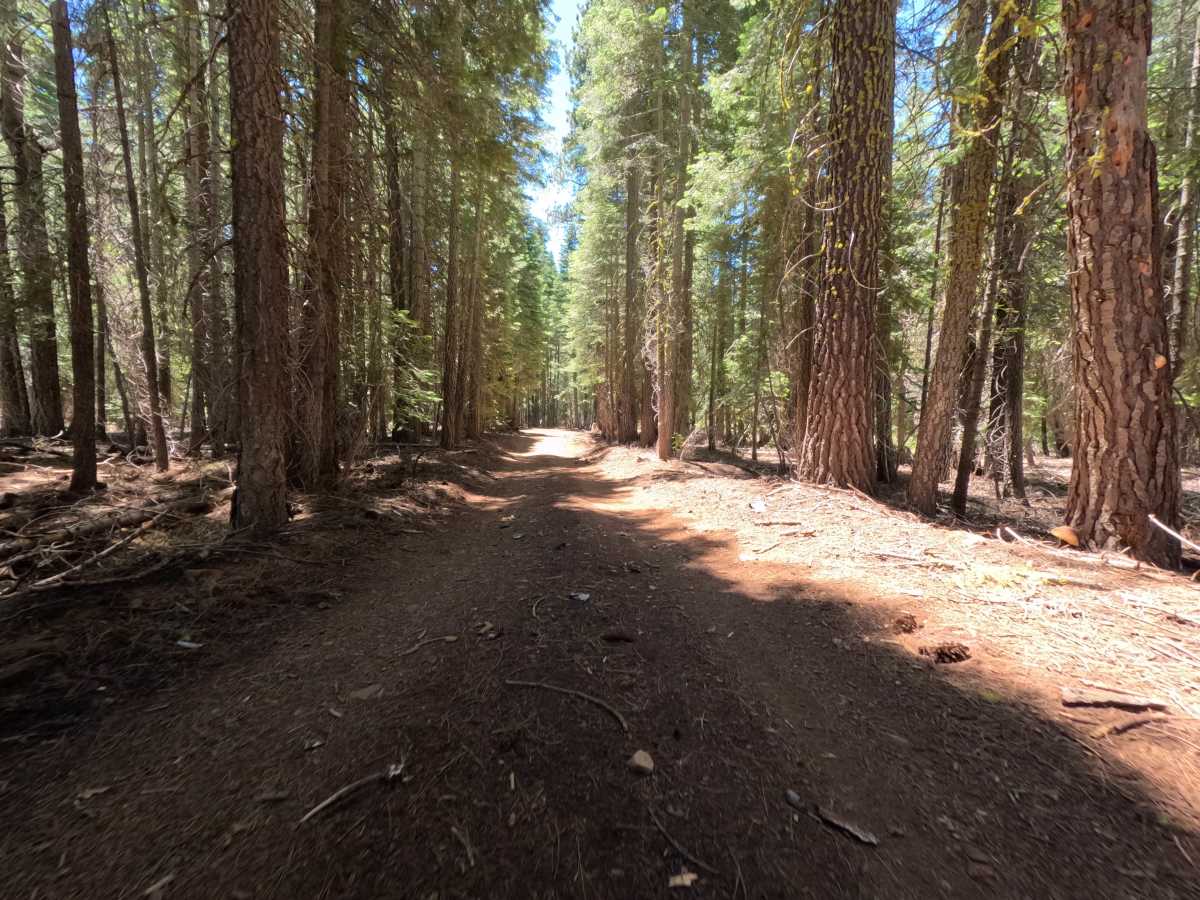 Sawtooth - Spur D trail photo
