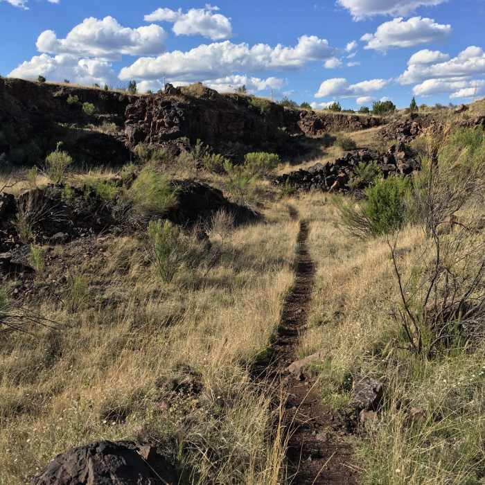 Near Boston Hill Full Tour