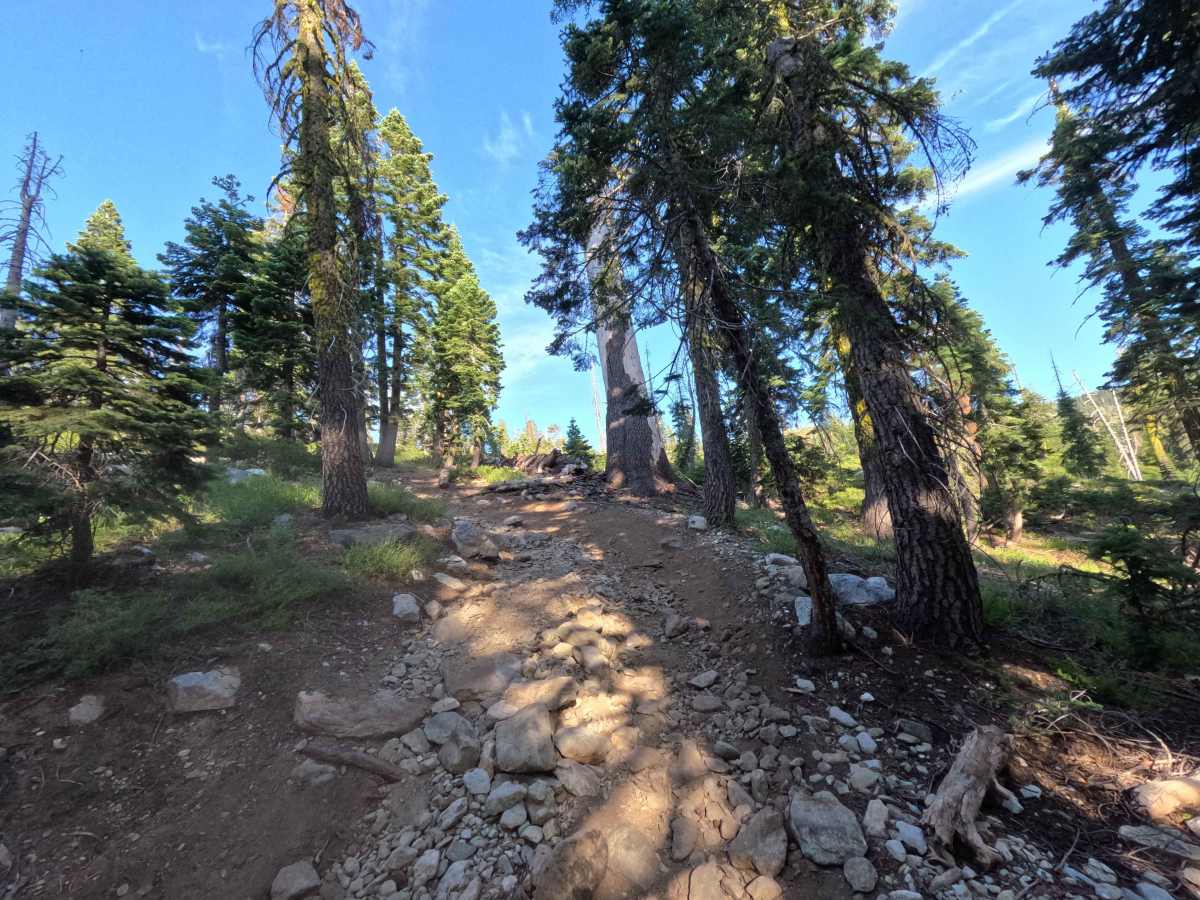 Snake Lake Trail - FS 12E67  photo 4