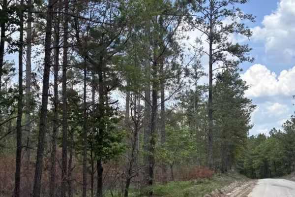 Swift Creek Road 