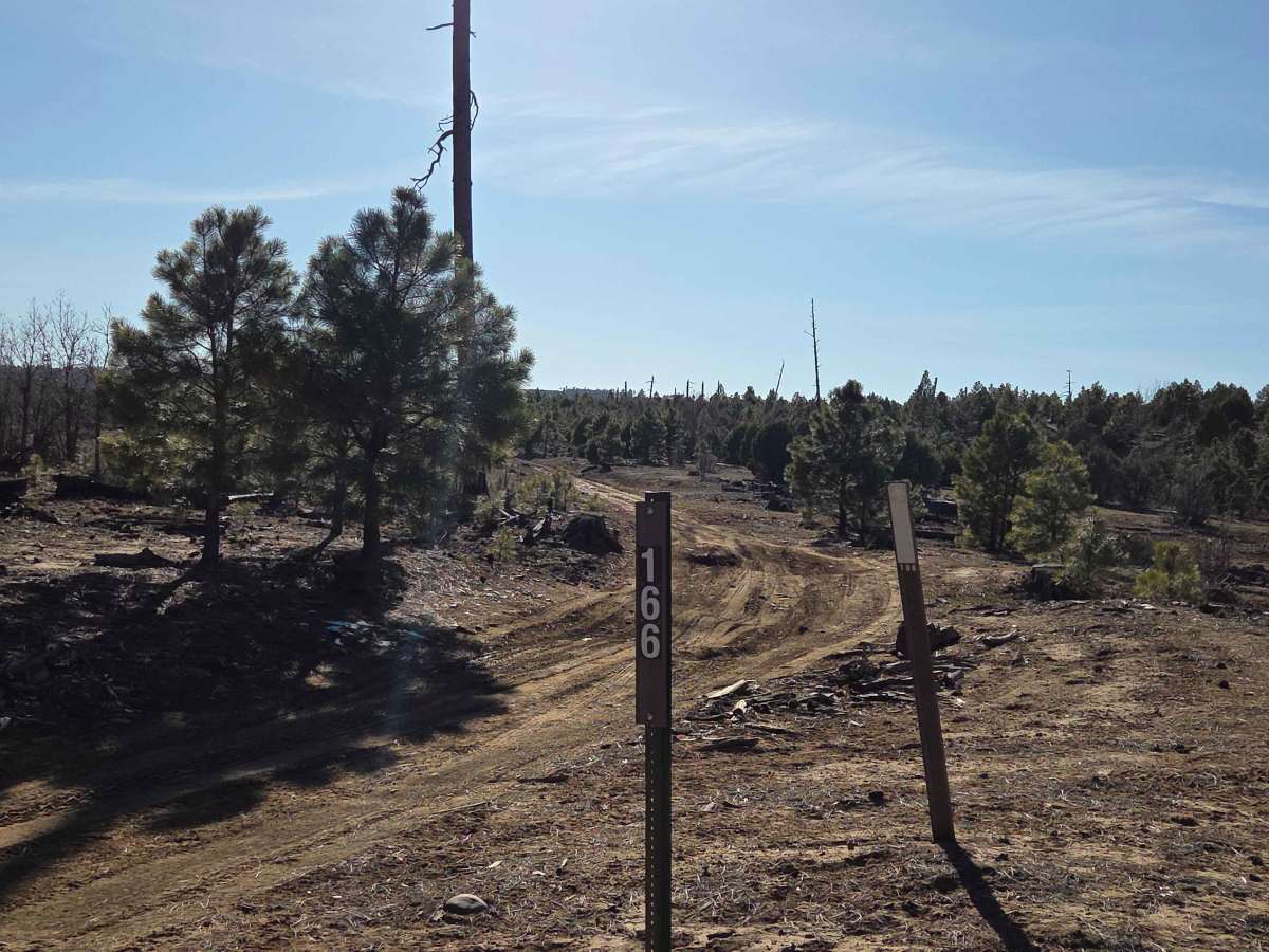 Old Verde Road photo 2