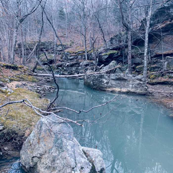 Near Indian Kitchen Loop Near Indian Kitchen Loop