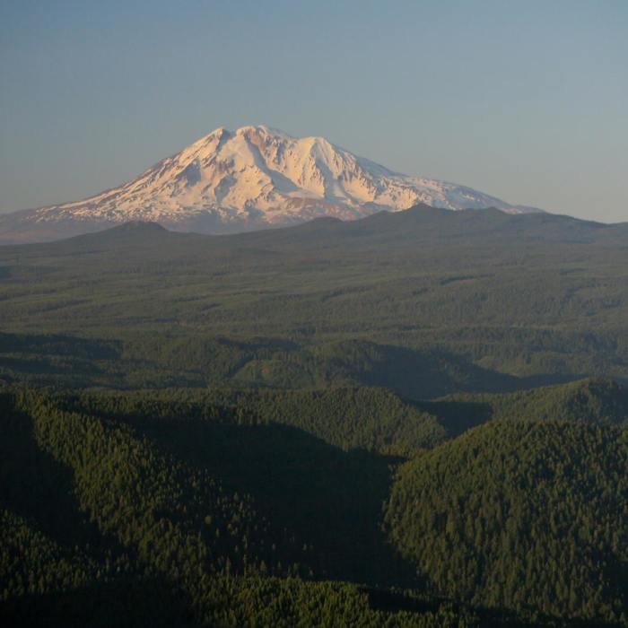 Near Observation Peak Trail