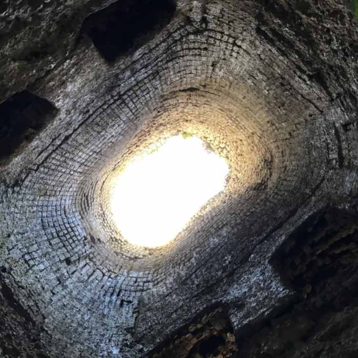 Near Lime Kiln Point Loop