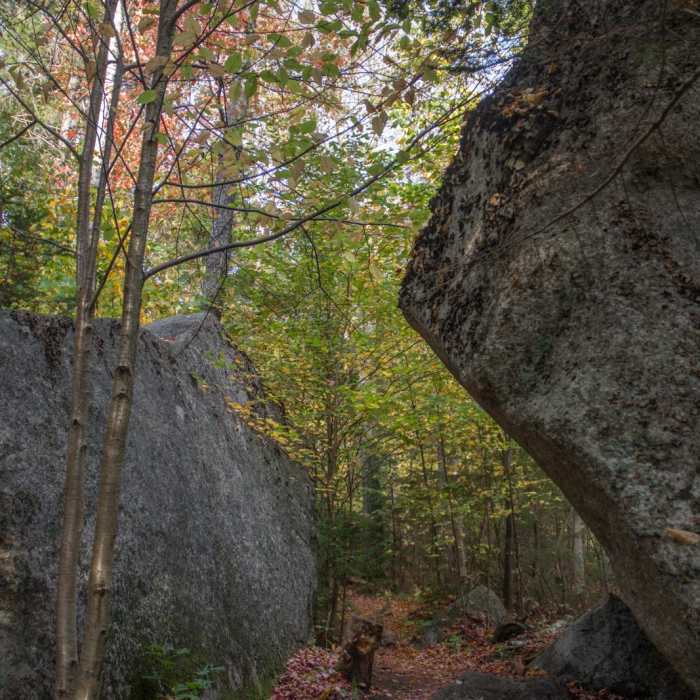 Near Sugarloaf Trail Near Sugarloaf Trail