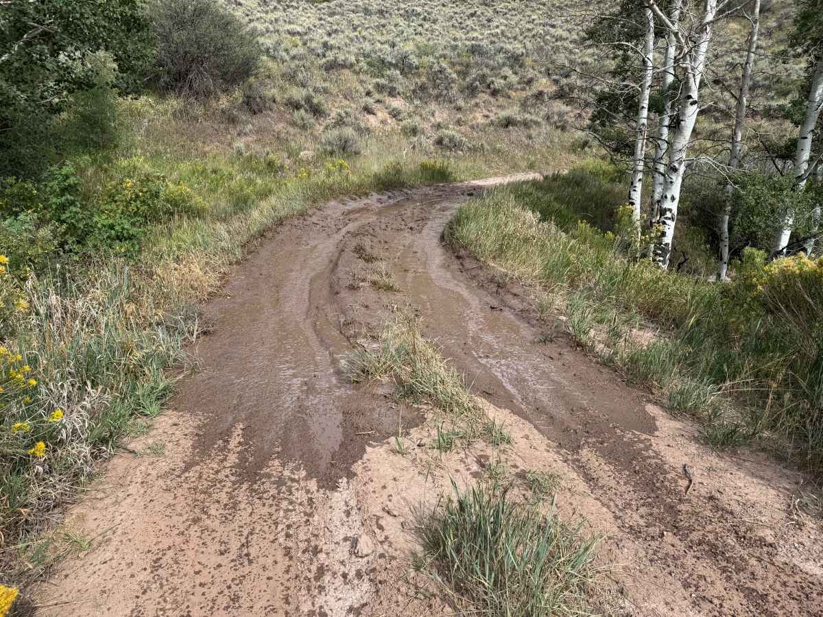 Power Road photo 2
