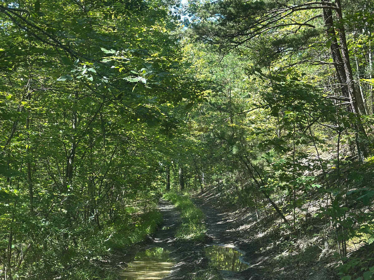 Wilson Spur  photo 4