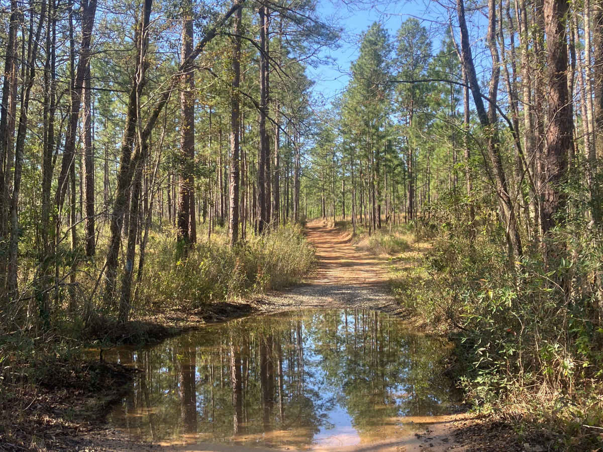 Blue Trail W23 photo 6