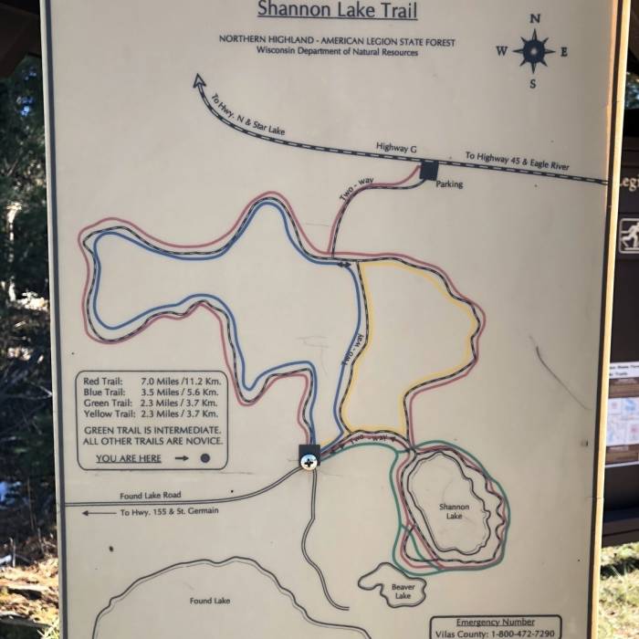 Choose Your Own Adventure! Near Shannon Lake Red Trail