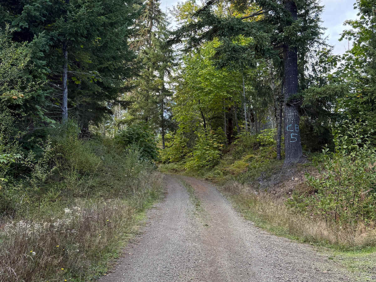 DNR Road 1263 photo 4