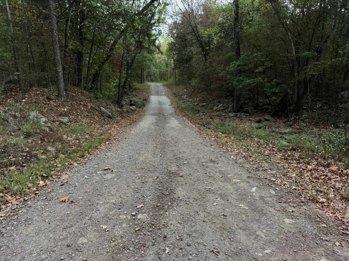 Jug Spring photo 6