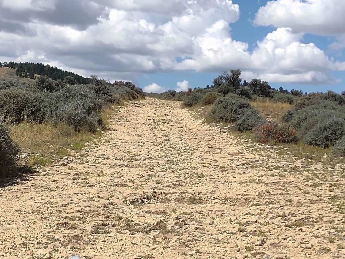 Outlaw Canyon Rim photo 3