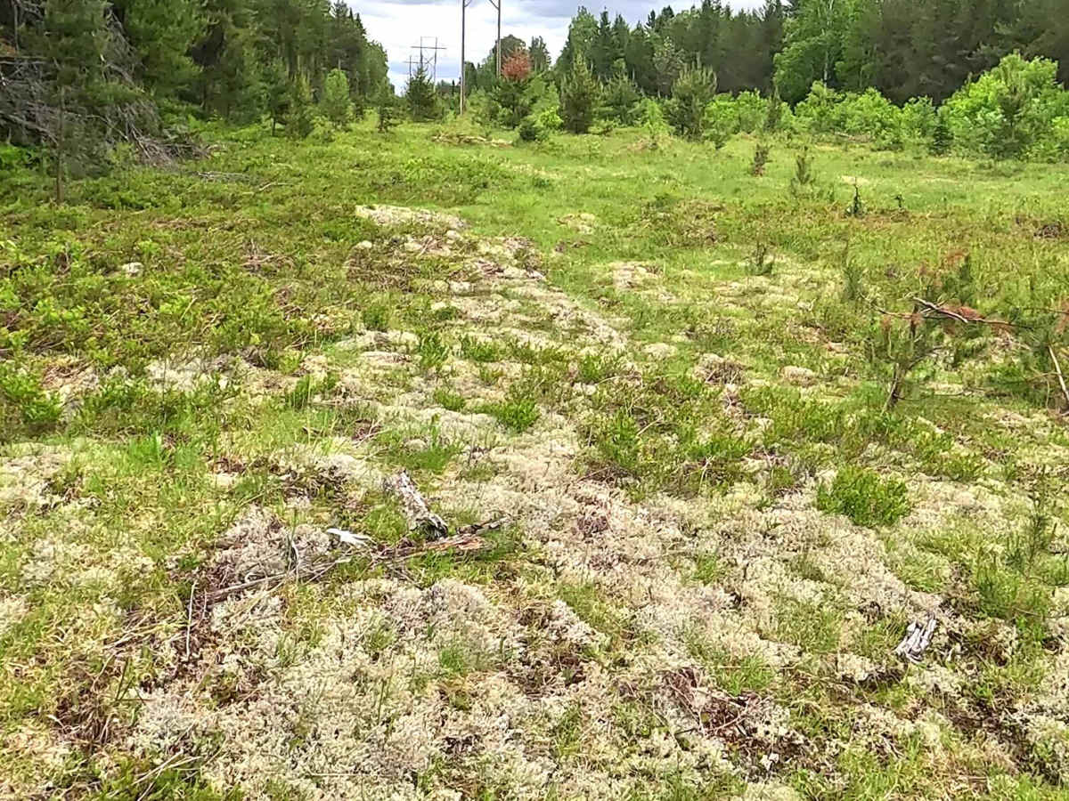 Peshekee to Clowry Trail photo 2