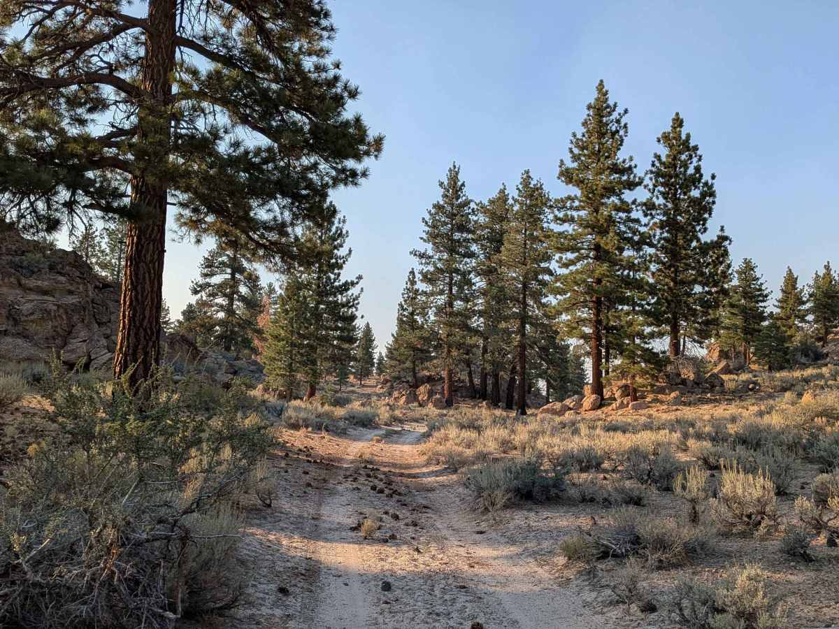 Granite Boulder Scenic Road - FS 4S40 trail photo