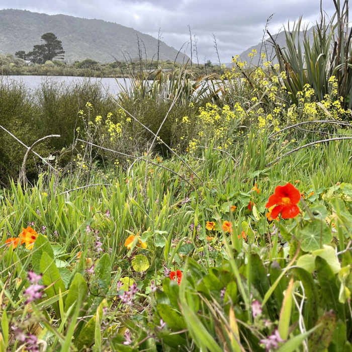 Near Cobden Lagoon Loop Near Cobden Lagoon Loop