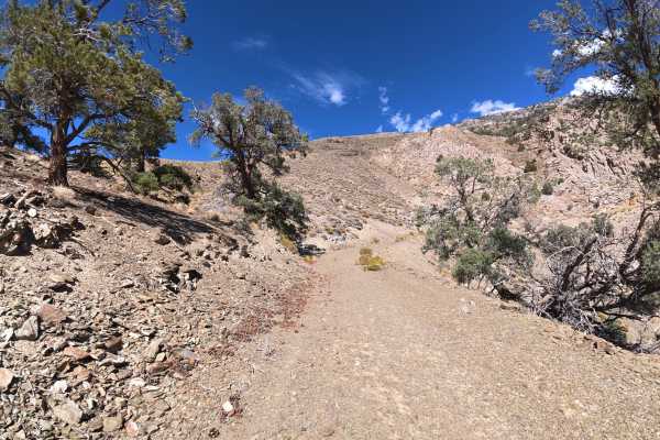 Gunter Canyon