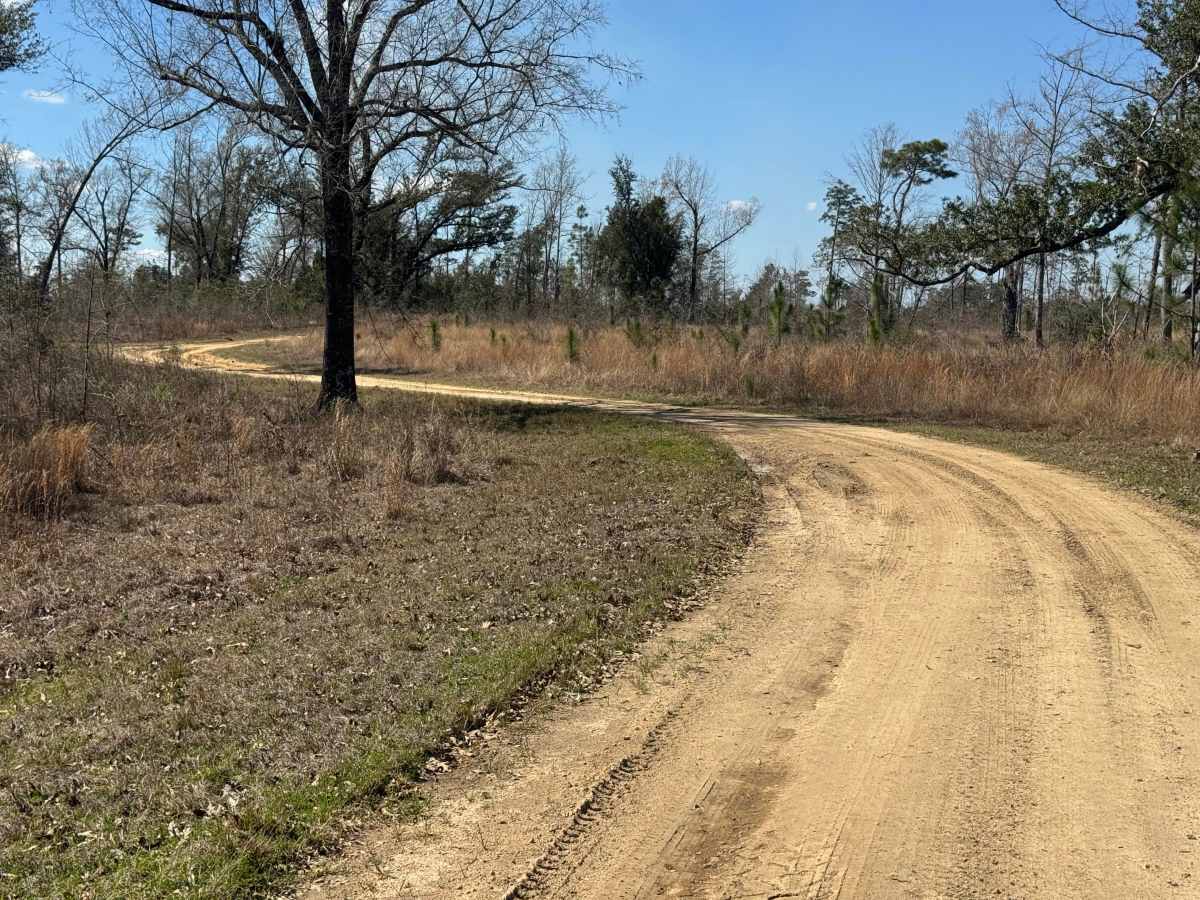 Rock Pond Road photo 6