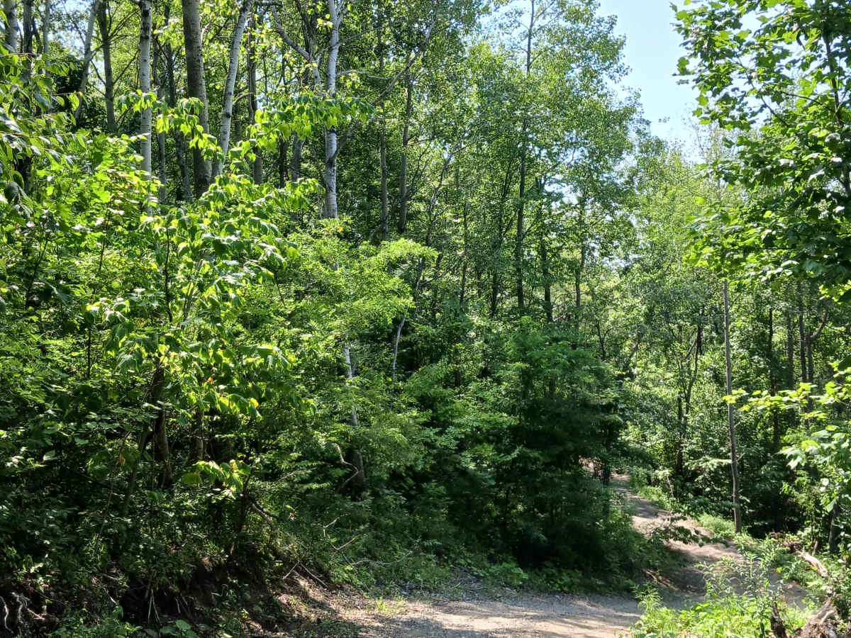 Big Buck Trail - Rock Run Recreation Area photo 5