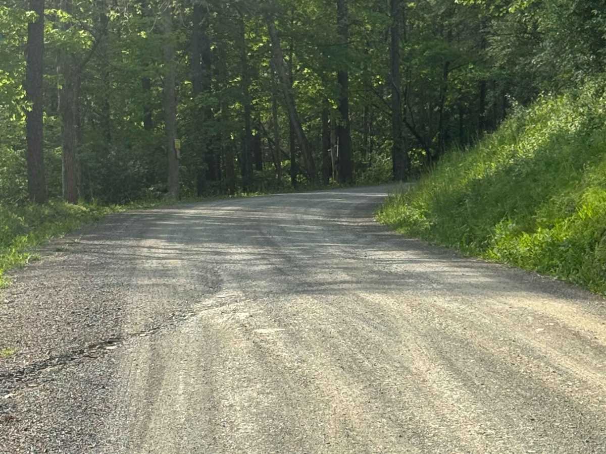 Woomers Divide Road photo 4