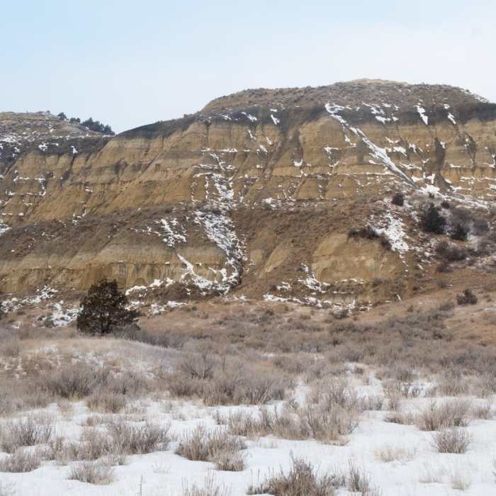 Near Bennett-Cottonwood Loop via Maah Daah Hey Trail