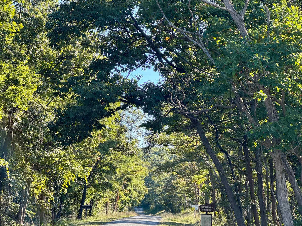 Oregon Road photo 5